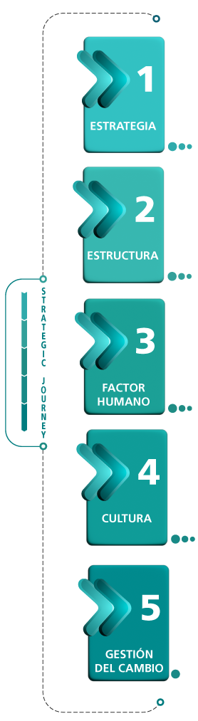 Infografía Strategic Journey